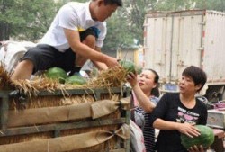 林州市吃瓜最新事件爆料,揭秘背后惊人真相