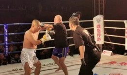 太极雷雷最新爆料,揭秘神秘内幕，真相令人震惊！