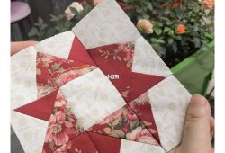 蘑菇吃瓜爆料最新消息,娱乐圈最新动态大揭秘！