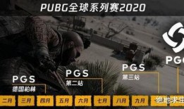 pgs最新爆料,揭秘明星幕后故事与真实情感