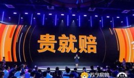 苏宁双十一爆料最新消息,最新爆料揭秘惊喜优惠与独家活动”