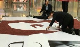 红豆木森最新爆料,揭秘娱乐圈幕后真相