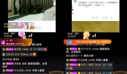 西京最新爆料事件视频播放,事件视频引发热议，真相究竟如何？