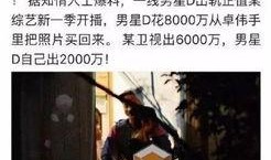 戈雅员工爆料视频大全最新,揭秘企业内部真相与争议