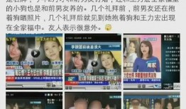 创艺最新直播爆料事件是什么,揭秘最新事件内幕