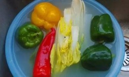 永康吃瓜最新事件爆料视频,最新爆料视频揭秘惊人内幕