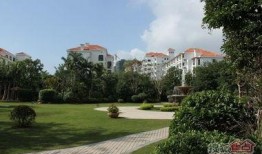 园林绿化爆料视频最新版,惊艳美景与环保理念完美融合”