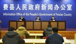 费县爆料新闻事件最新,真相揭秘，多方关注！