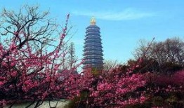 常州景区爆料事件最新情况,最新进展揭秘，真相大白！