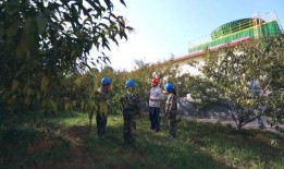 园林绿化爆料视频最新版,惊艳美景与环保理念完美融合”