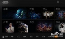 南极最新爆料视频下载,最新视频揭示神秘冰原奇观